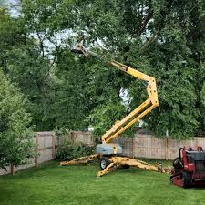 Best Storm Damage Tree Cleanup  in Forest Lake, MN